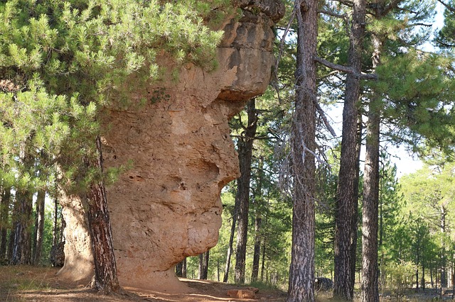 tours Ciudad Encantada de Cuenca